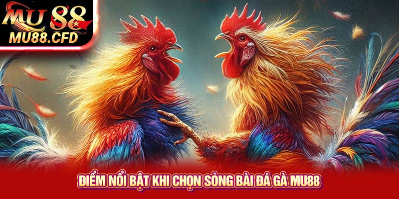 Điểm Nổi Bật Khi Chọn Sòng Bài Đá Gà Mu88