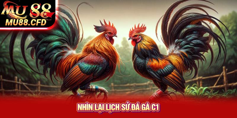 Nhìn Lại Lịch Sử Đá Gà C1